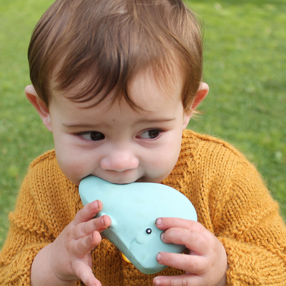 LANCO PLAY & BATH MAMA WHALE